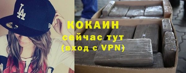 трава Корсаков