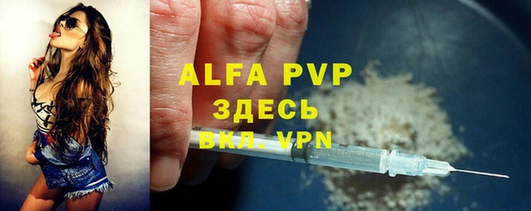 трава Корсаков