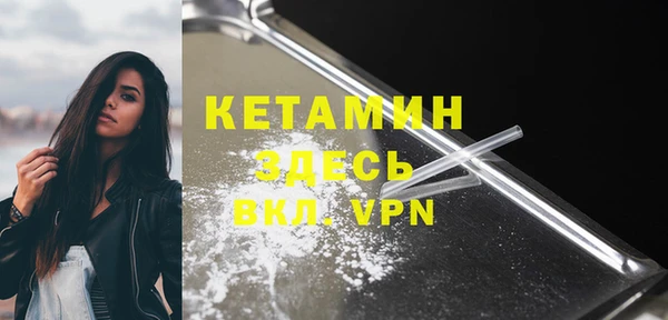 трава Корсаков