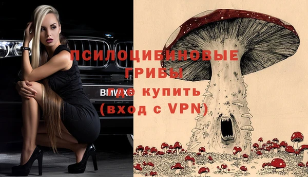Альфа ПВП Костерёво