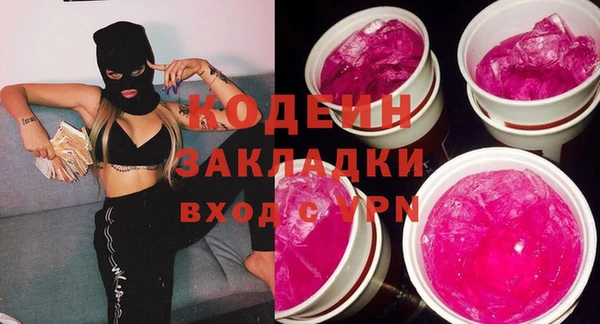 трава Корсаков