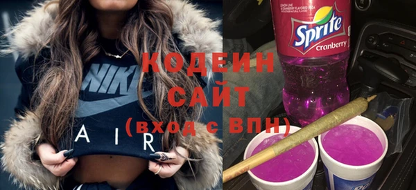 трава Корсаков