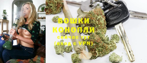 Альфа ПВП Костерёво