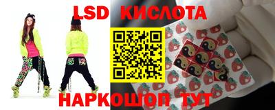 стаф Донской