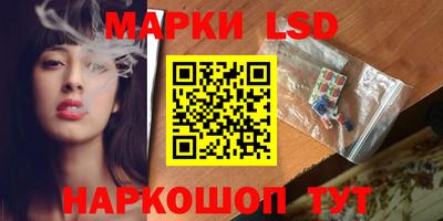 стаф Донской