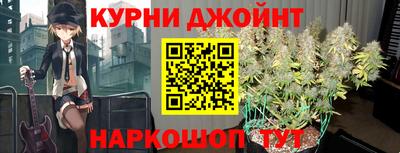 стаф Донской