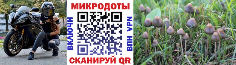 купить закладку  Нововоронеж  Галлюциногенные грибы MAGIC MUSHROOMS 