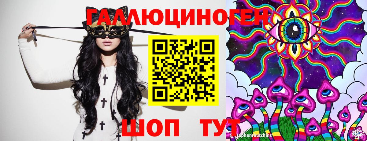 Псилоцибиновые грибы Psilocybine cubensis Нововоронеж
