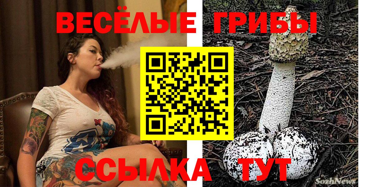Галлюциногенные грибы MAGIC MUSHROOMS  Вход с VPN  Нововоронеж 