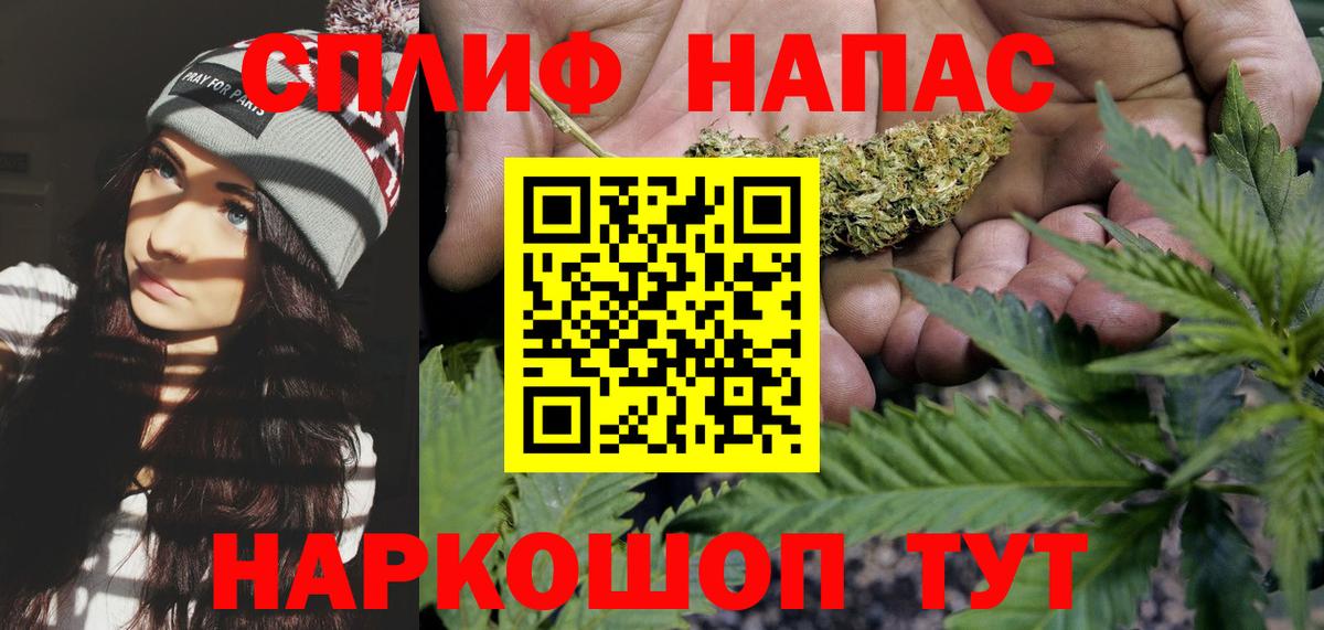 Бошки Шишки семена Нововоронеж