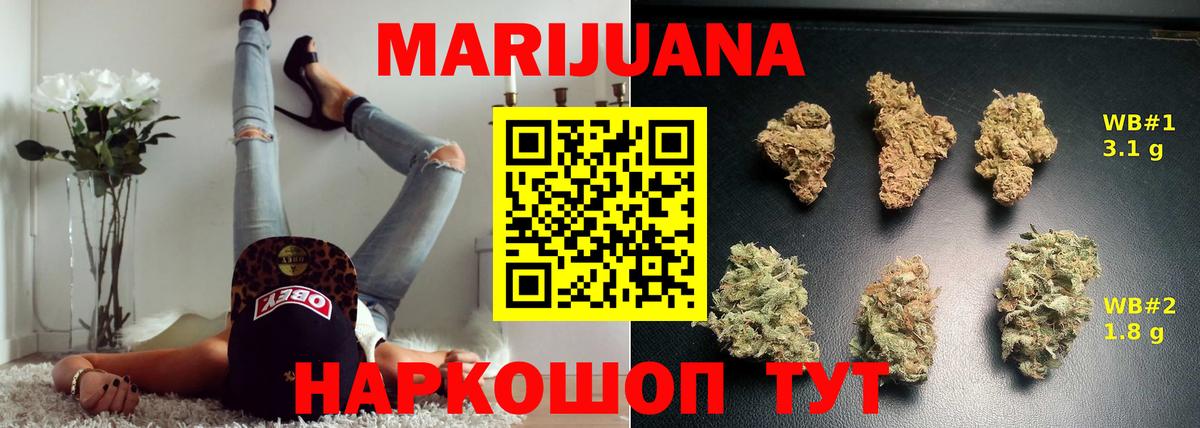 Марихуана сатива  Канабис планчик  Нововоронеж  Вход с VPN  Марихуана MAZAR 